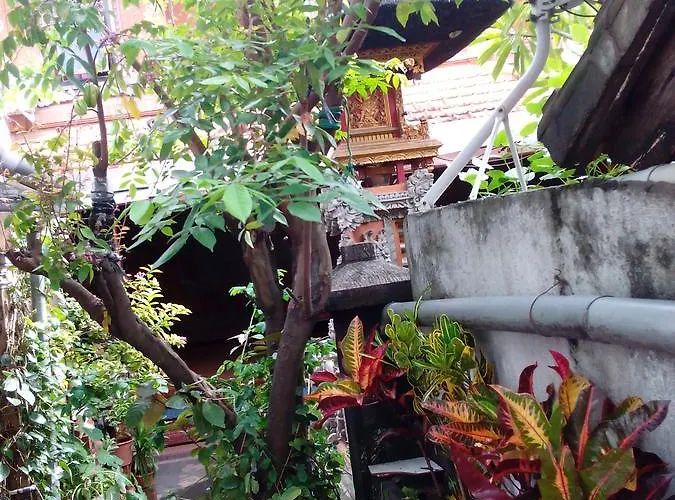 Hostal Bayudya *